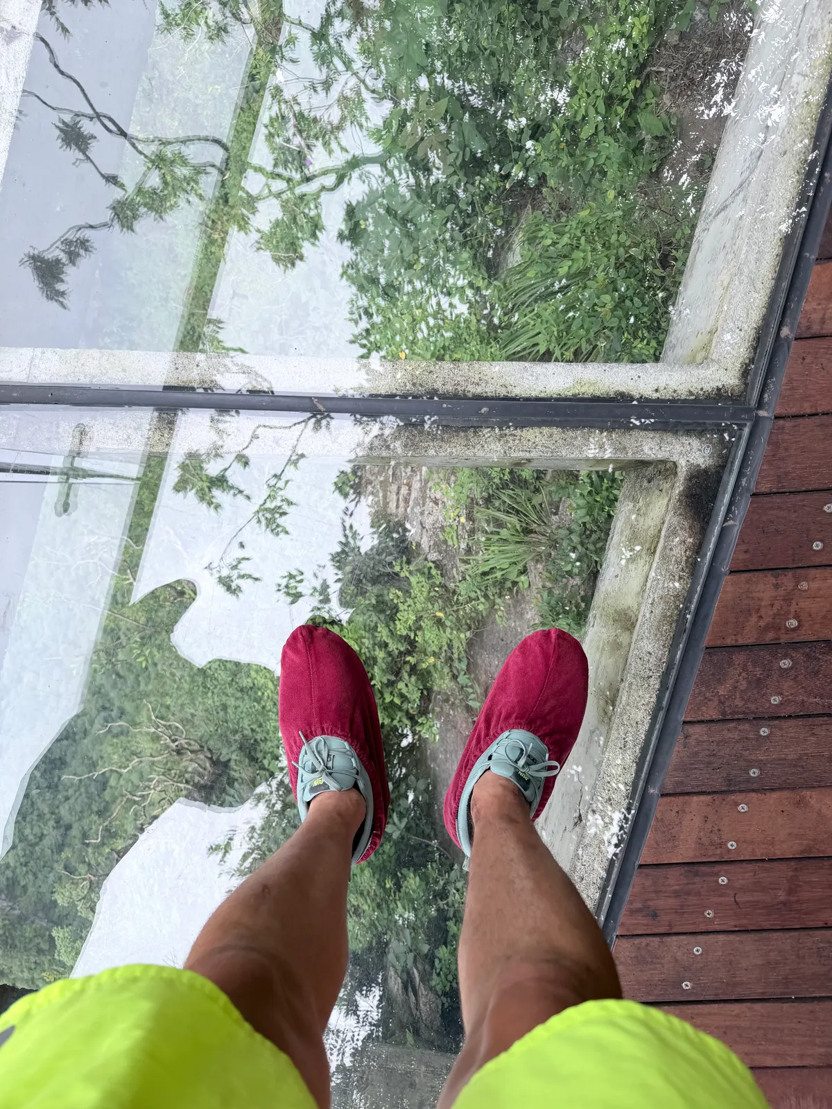 Pieds sur un autre plancher de verre, au-dessus de la forêt en contrebas
