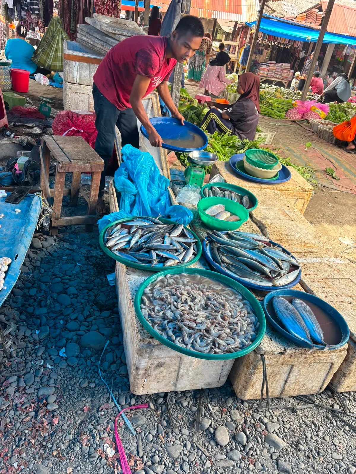L'étal de poisson du marché : maquereaux, petits poissons et crevettes du jour
