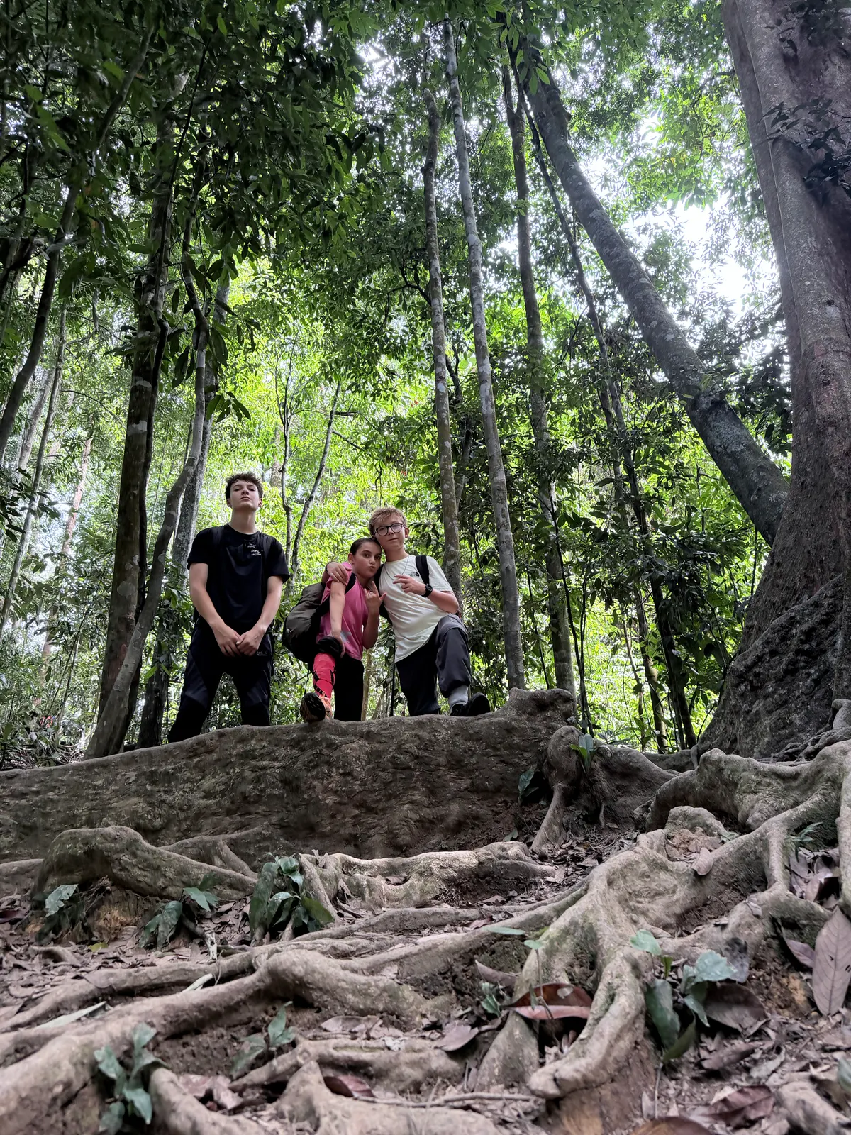 Au pied d'un figuier étrangleur géant : Emma, Lucas et l'équipe. Ces arbres enlacent leur hôte jusqu'à l'étouffer.