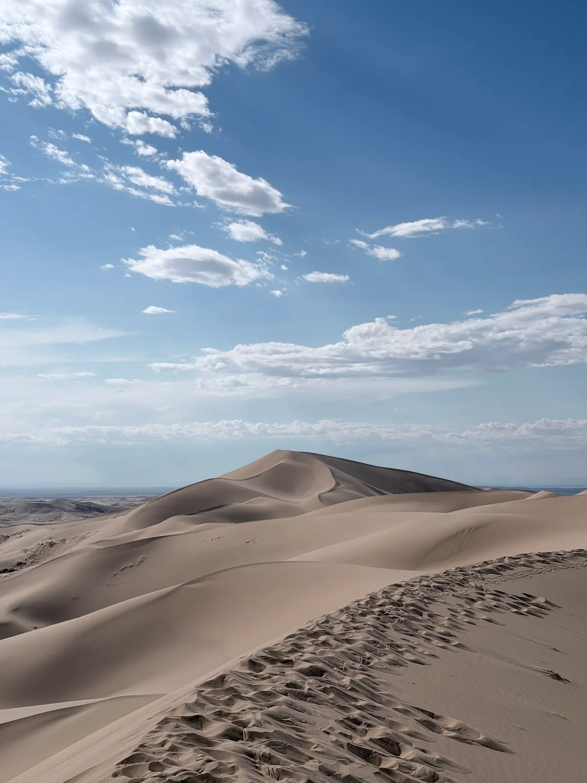 La crête sculptée des dunes chantantes de Khongoryn Els sous un ciel immense