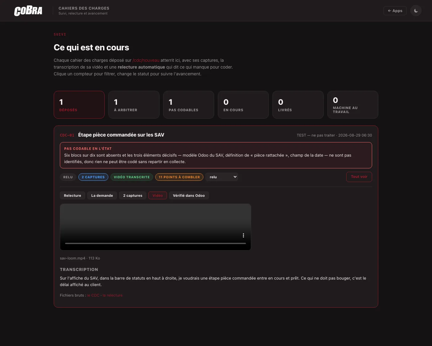 A submitted video and its auto-generated transcript, added as an appendix to the request.